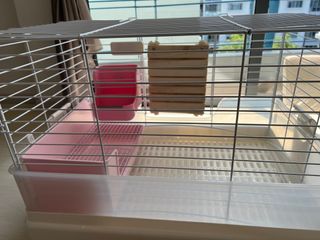 (Category: ) located in . Submitted by SGvvm (Listing ID 1283994219, Image 1). Description: .