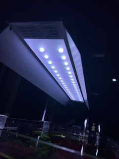 (Category: ) located in . Submitted by mohdfarhan.bhisham (Listing ID 1284017298, Image 1). Description: .