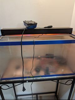 15 gal Aquarium with stand, filter, and light