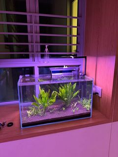 (Category: ) located in . Submitted by visionlee (Listing ID 1284477468, Image 1). Description: .