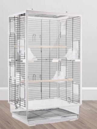 Picture of Acrylic Cage. Bird Cage i)Front & ii)Front Back Acrylic panel . Parrot ...