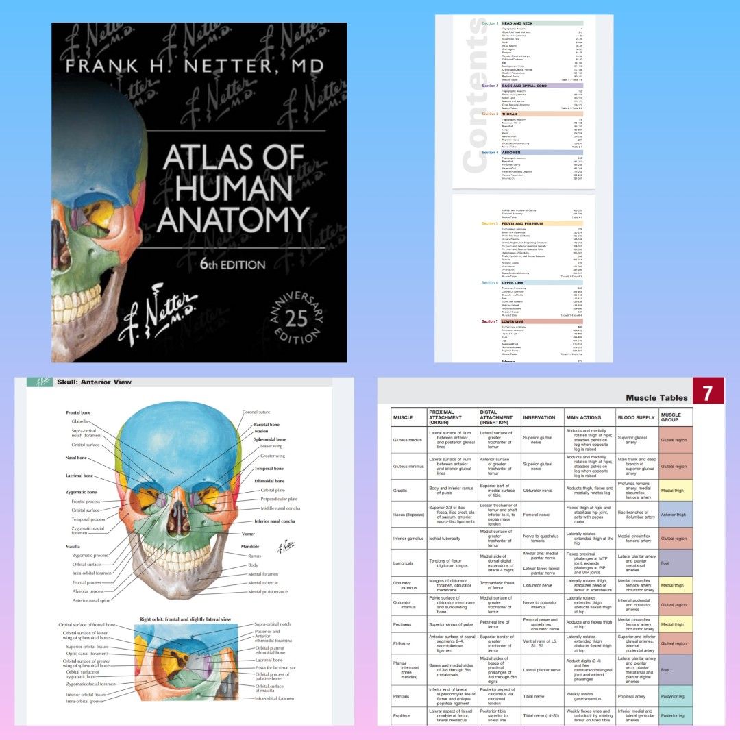 HUMAN ANATOMY MCGRAW HILL 6TH EDITION visual data 3