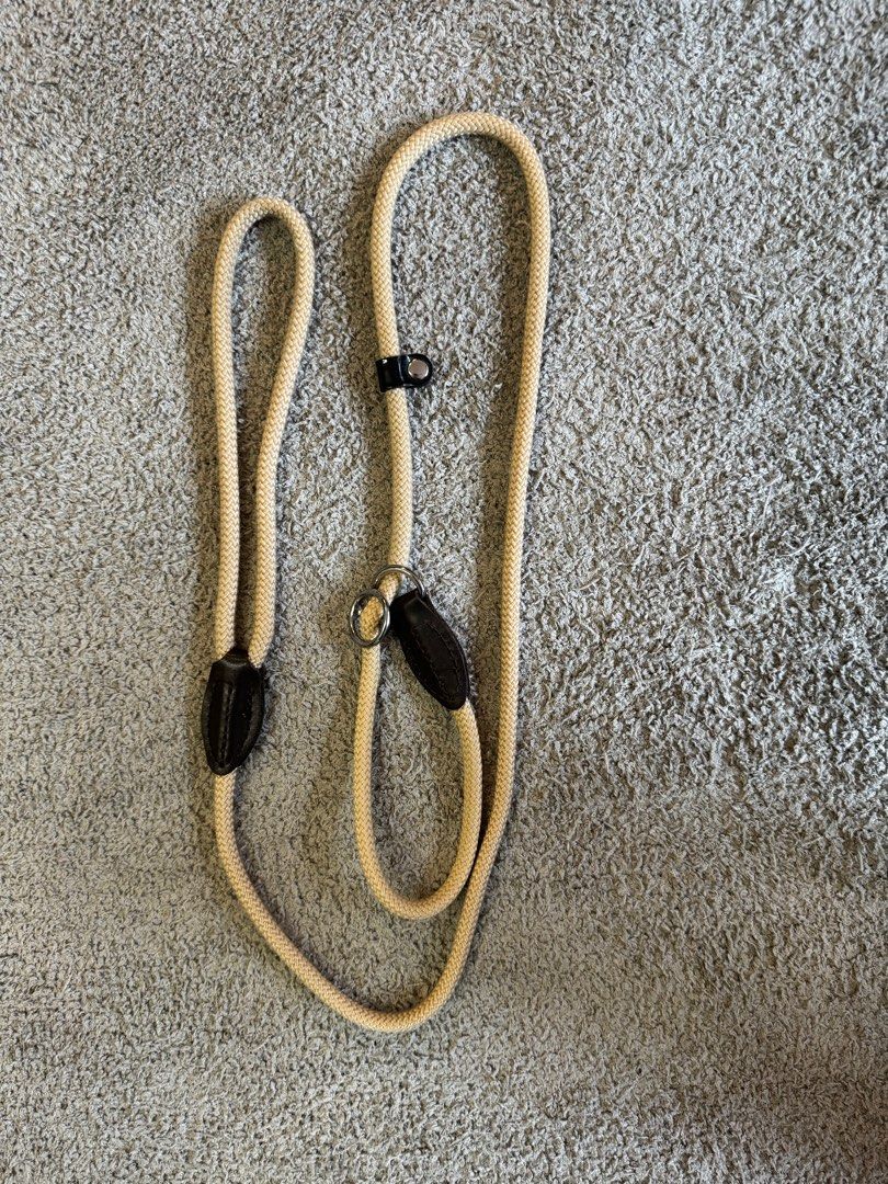 Hunter retriever hot sale leash freestyle