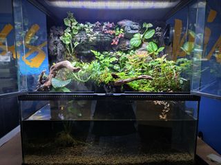 (Category: ) located in . Submitted by Fortune_Green_Design (Listing ID 1284494125, Image 1). Description: .