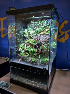(Category: ) located in . Submitted by Fortune_Green_Design (Listing ID 1284495277, Image 1). Description: .