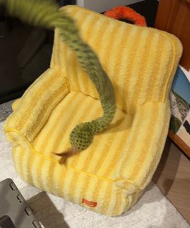 （分類：）位於 。 由 taoooyt 提交（商品編號 1284496464，圖片 1）。簡介： 。