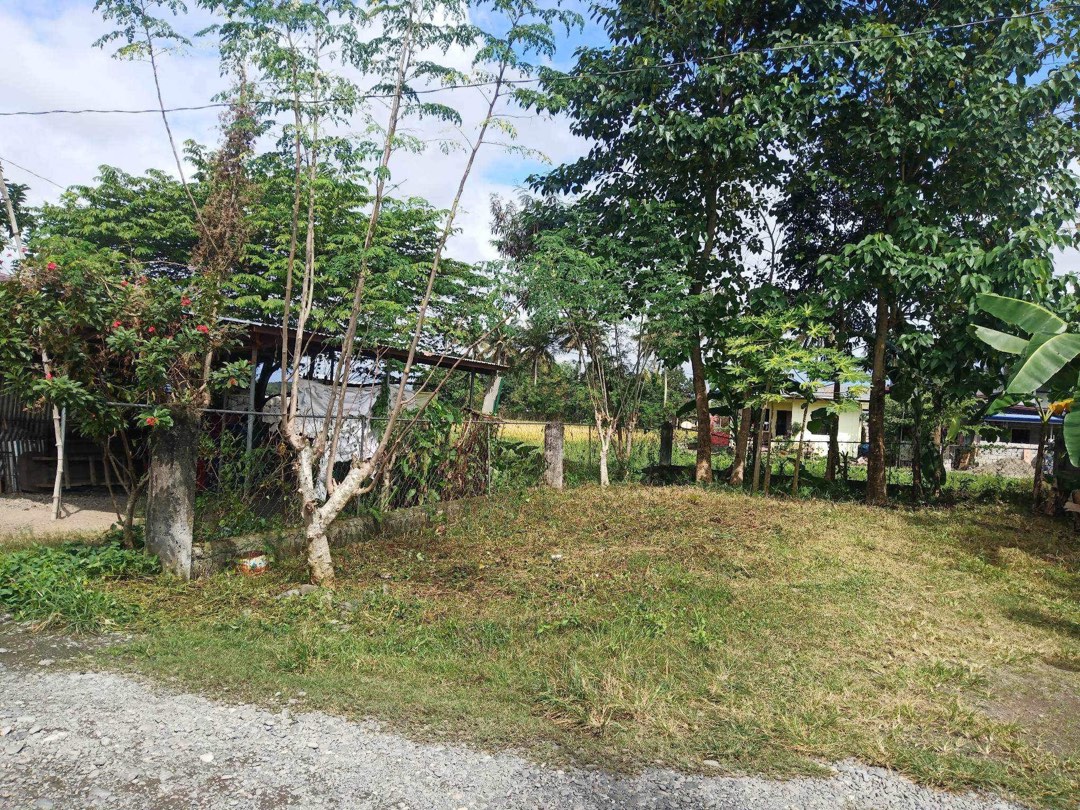 RESIDENTIAL LOT SOLANO NUEVA VIZCAYA, Property, For Sale, Lot on Carousell