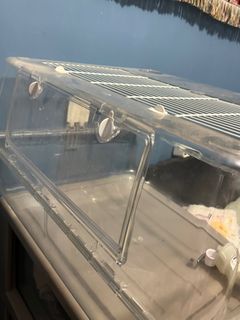 （分類：）位於 。 由 ericaleung 提交（商品編號 1284348438，圖片 1）。簡介： 。