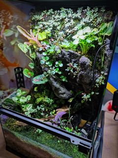 (Category: ) located in . Submitted by Fortune_Green_Design (Listing ID 1284494503, Image 1). Description: .