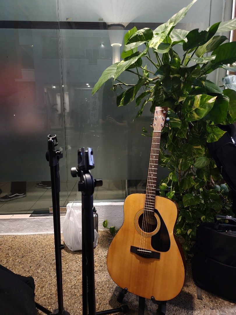 Yamaha f310 best sale fishman