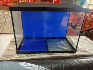 (Category: ) located in . Submitted by willytung (Listing ID 1284657769, Image 1). Description: .