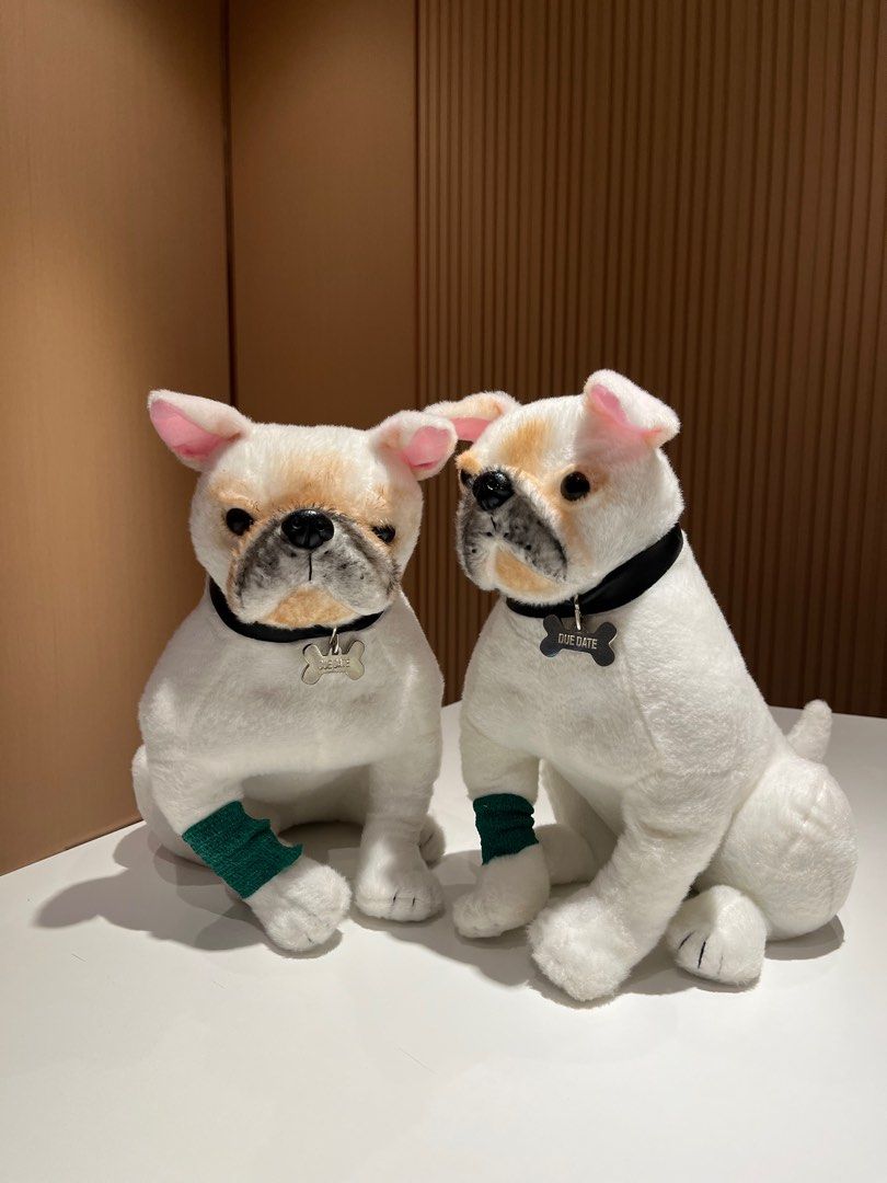可愛小狗法國老虎狗Due Date 公仔, 興趣及遊戲, 玩具& 遊戲類- Carousell