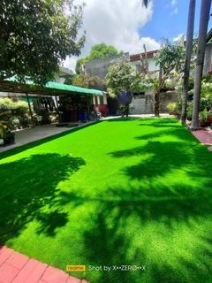 Affordable Quality Grass Turf