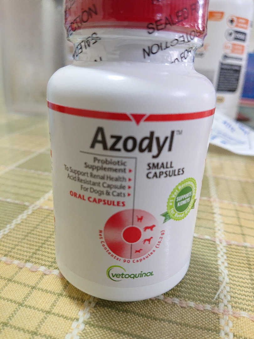 Azodyl for cats with kidney disease online