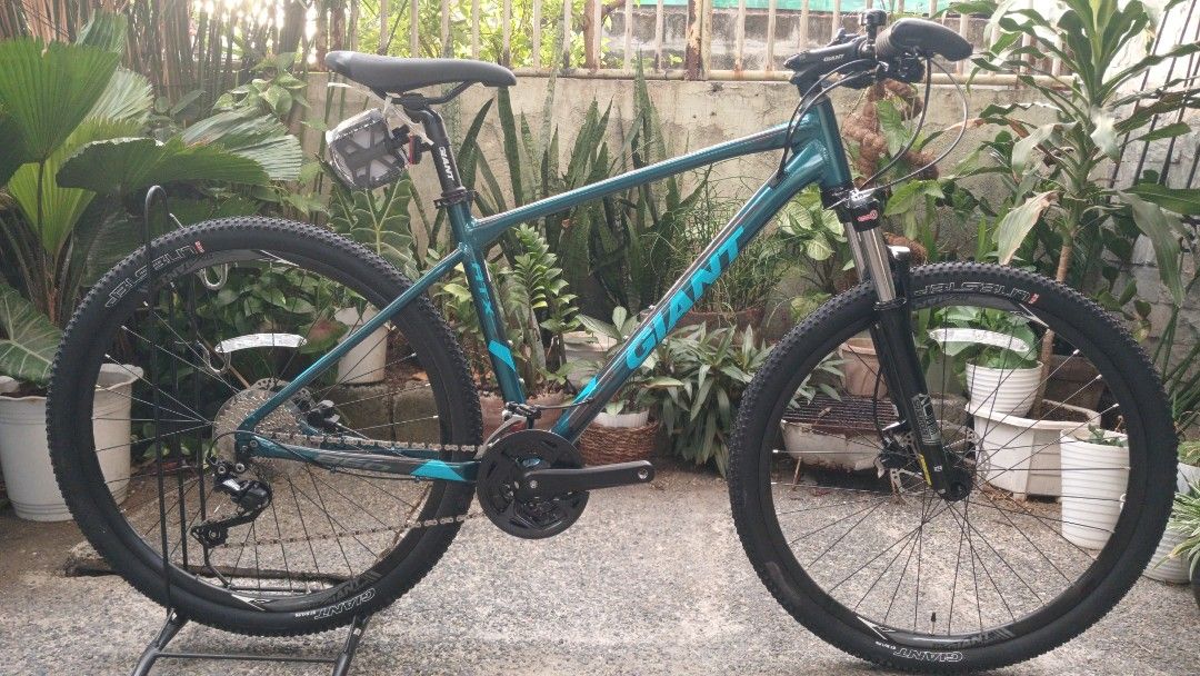 Giant brand mountain bikes for sale clearance