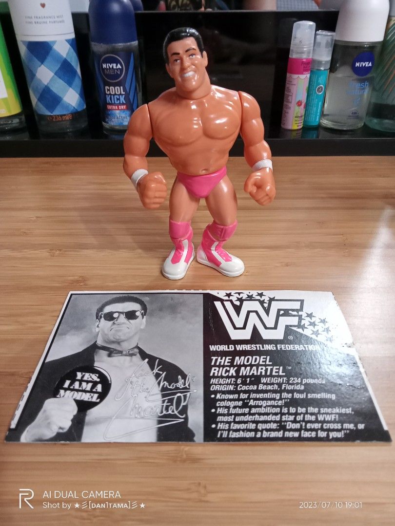 Hasbro WWF/WWE SKINNER 