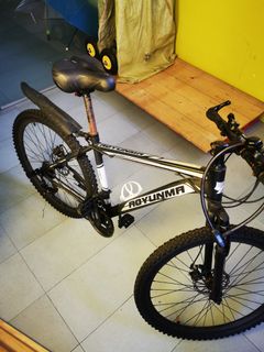 Royunma bike store price