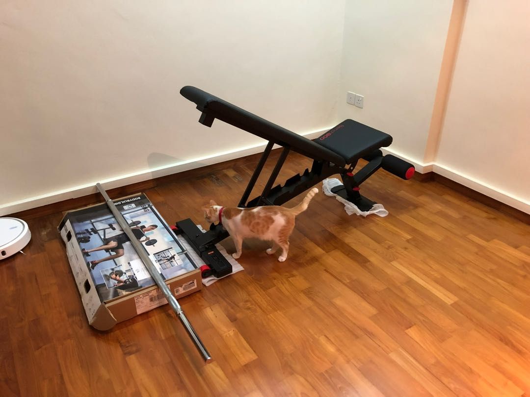 Gym kit 50 kg with bench online