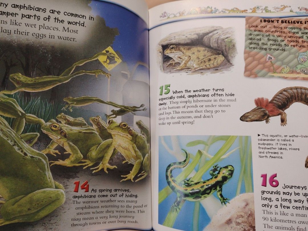 100 facts about reptiles and amphibians