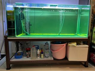 (Category: ) located in . Submitted by roybebe (Listing ID 1284935352, Image 1). Description: .