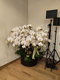 （分類：）位於 。 由 rimenw 提交（商品編號 1284866569，圖片 1）。簡介： 。