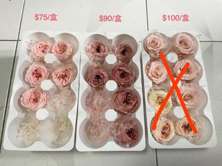 （分類：）位於 。 由 gilau.gl 提交（商品編號 1282934452，圖片 1）。簡介： 。