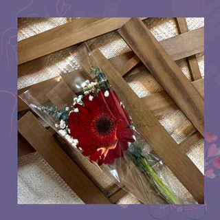(Category: ) located in . Submitted by bluemoonenterprise (Listing ID 1284944552, Image 1). Description: .