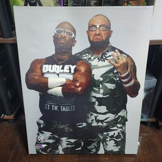 Dudley Boyz - WWE Wrestling 16x20 Canvas