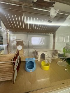 (Category: ) located in . Submitted by 3y05g (Listing ID 1284909657, Image 1). Description: .