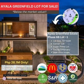LOWEST PRICE IN THE MARKET LOT FOR SALE AYALA GREENFIELD ESTATE