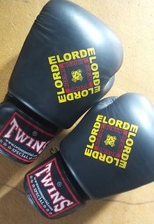 twins special muay thai boxing gloves 10oz