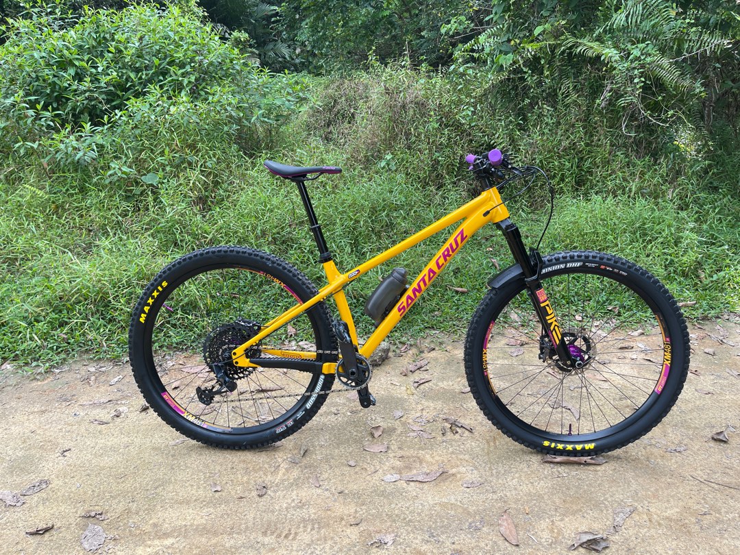 Santa cruz sale chameleon medium
