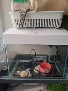 （分類：）位於 。 由 babak47 提交（商品編號 1285321346，圖片 1）。簡介： 。