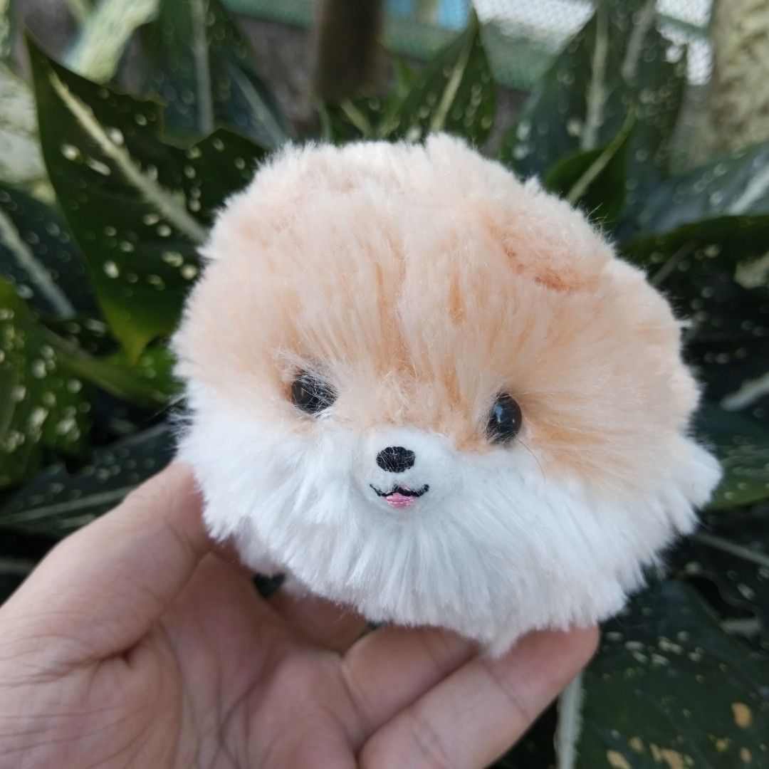 Amuse pomeranian deals