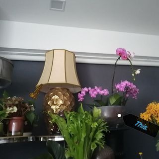 (Category: ) located in . Submitted by alanpedro (Listing ID 1277937110, Image 1). Description: .