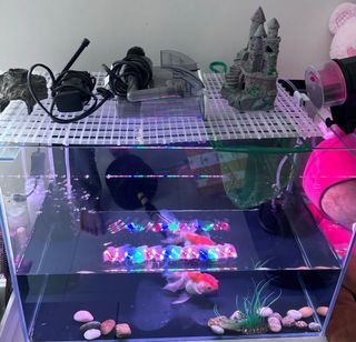 (Category: ) located in . Submitted by leowpa (Listing ID 1285141211, Image 1). Description: .