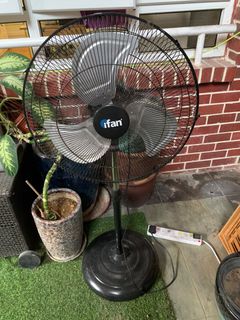 (Category: ) located in . Submitted by kkctn (Listing ID 1285147072, Image 1). Description: .