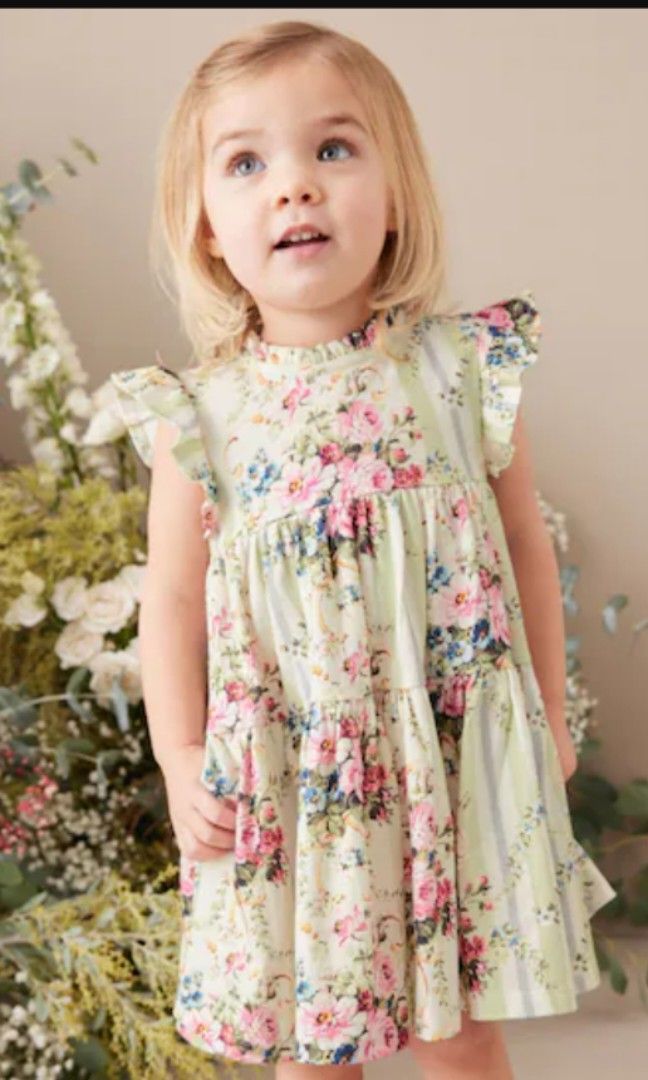 Next butterfly dress hot sale