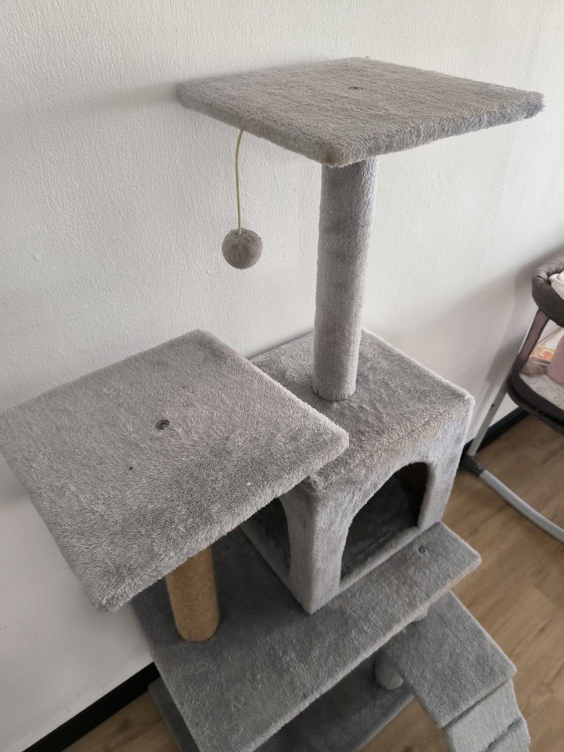 Second hand cat best sale tree