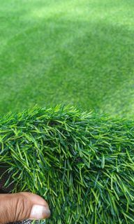 Turf Grass Fake Grass Artificial Grass KOREAN Grade Premium