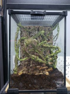 （分類：）位於 。 由 kwanxice 提交（商品編號 1285441313，圖片 1）。簡介： 。