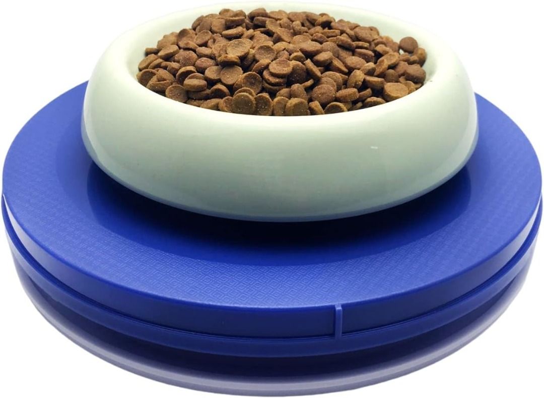 Cat food bowl ant proof new arrivals