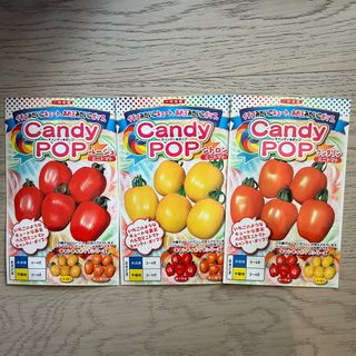 （分類：）位於 。 由 mat.oo 提交（商品編號 1285421568，圖片 1）。簡介： 。