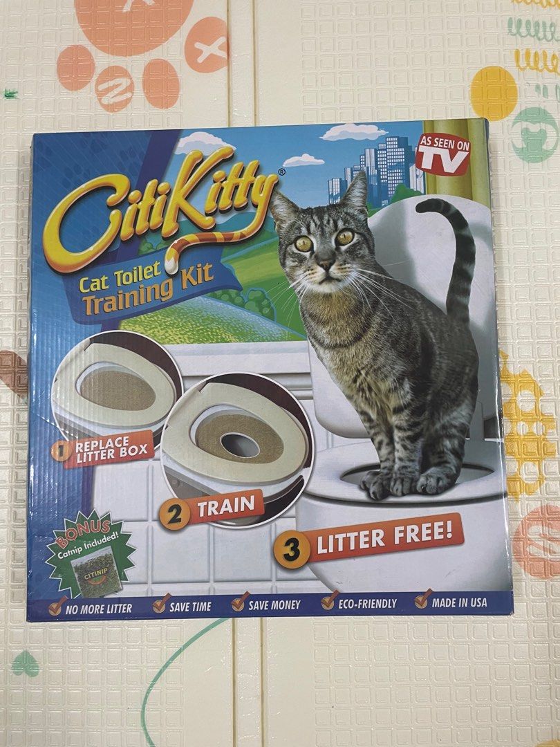 City kitty training clearance