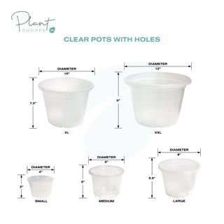 Clear / Transparent Plastic Pots With Holes from Thailand by Plant Shoppe PH
