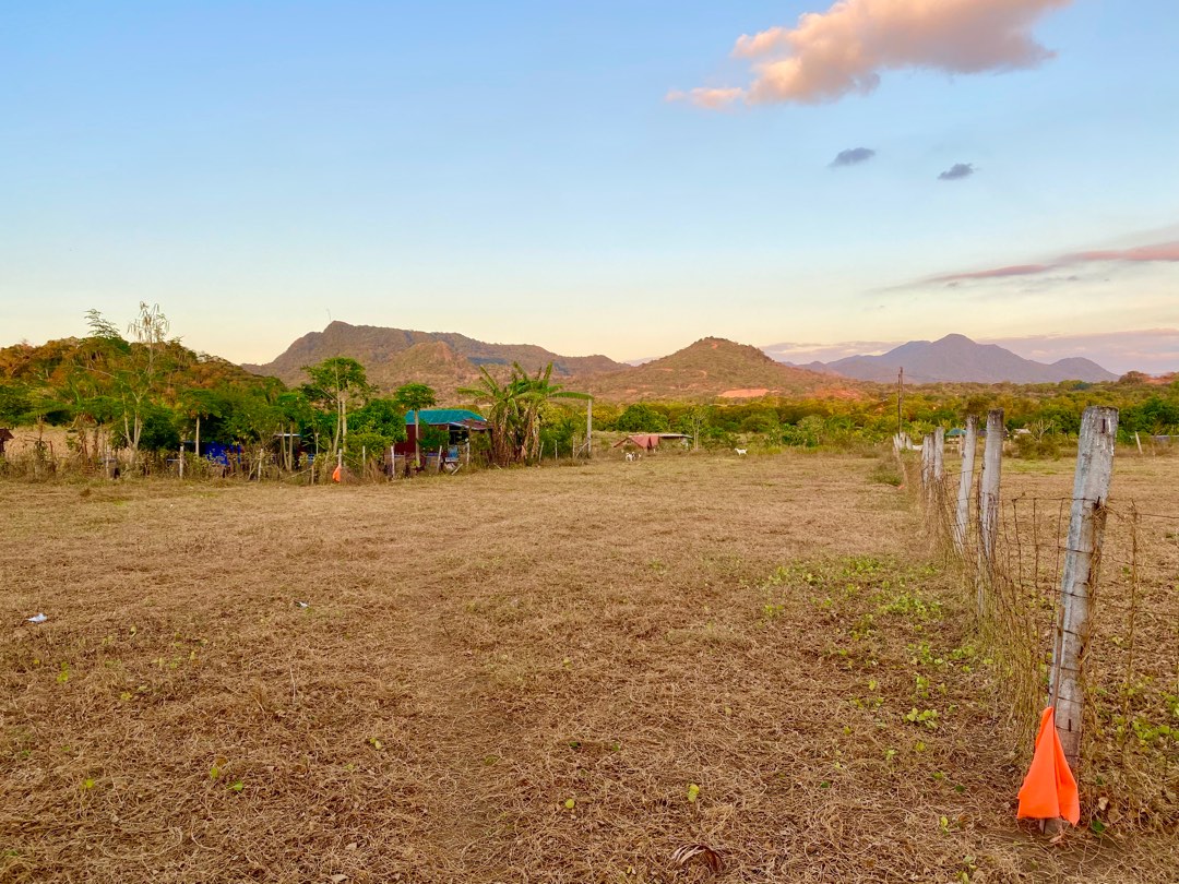 for sale Dragon fruit farm Nasugbu, Batangas, 2.5 hectares, Property