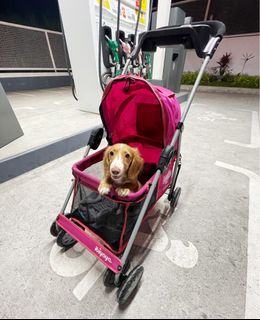 Dog outlet stroller olx