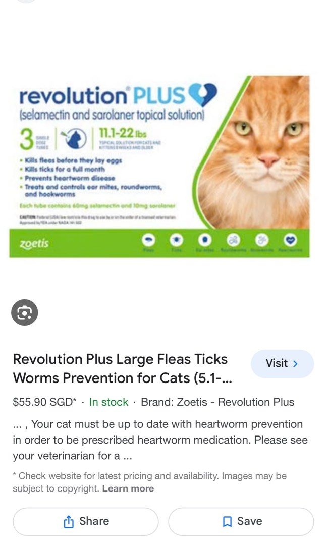 Revolution Plus for large cats 5.1kg to 10kg brand new Pet