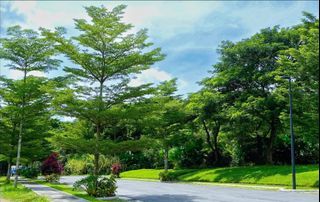 Rockwell South Rare Small Premium Lot For Sale Best Price in The Market Fastest Appreciating & High Zonal Per Annum near Ayala Villages & Mall/S&R/Landers/Xavier School/UST Laguna