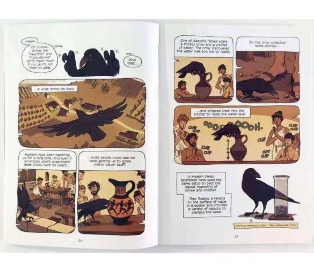 Science Comics 25 books set, Hobbies & Toys, Books
